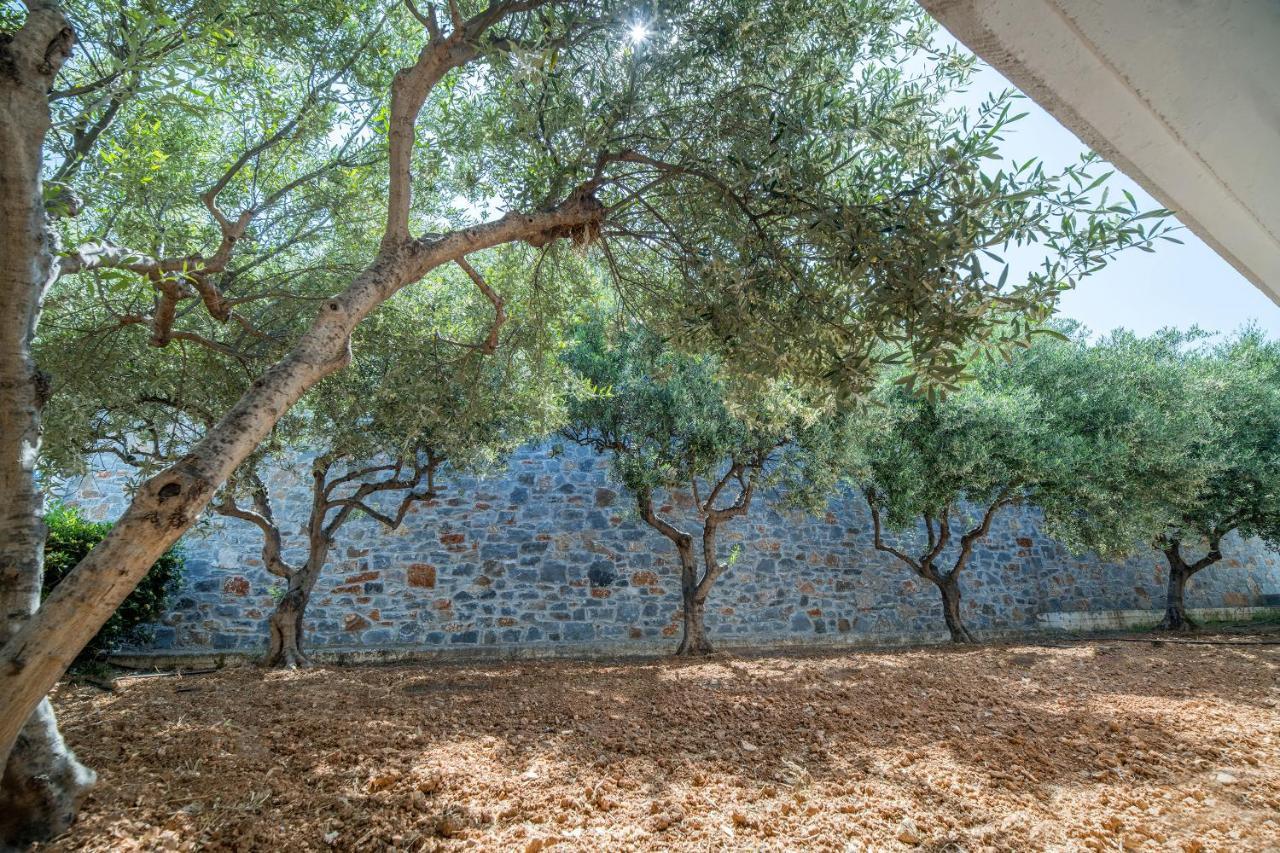 Semiramis Village Hotel Hersonissos  Exterior foto